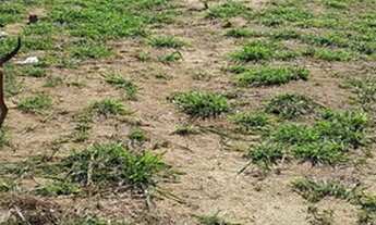 Imagem 5: Terreno em Cabo Frio