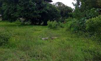 Imagem 4: Excelente chácara na cidade