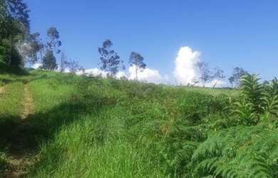 Imagem 2: PD - 45 mil 1000m2