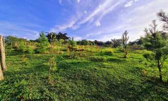 Imagem 5: Terreno à venda, 1361 m² por R$ 128.000 - Costa Do Morro - Sapucaia do Sul/RS
