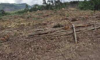 Imagem 4: D7-Chácara para venda possui 2,500 metros quadrados em aterrado - Salesópolis - São Paulo