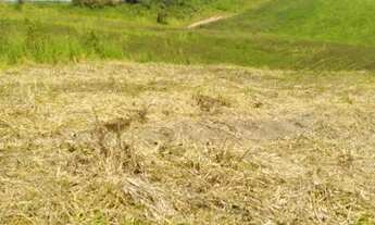 Imagem 2: Venha conhecer esse lindo terreno em Cotia