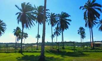 Imagem 3: Lote/Terreno para venda possui 450 m² em Santo Amaro - BA