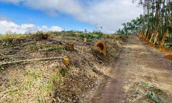 Imagem 3: Aqui está seu terreno do sonho!