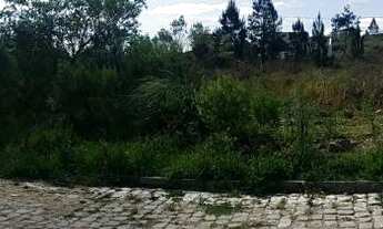 Imagem: Caxias do Sul - Terreno Padrao - Nossa Senhora