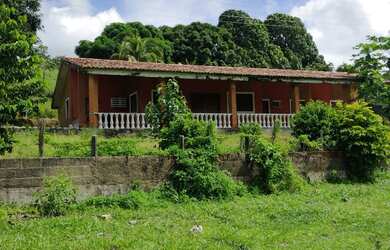 Imagem 7: Fazenda/Sítio/Chácara para venda possui 80 hectares, com 4 quartos em - Flexeiras - Alag