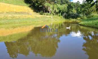 Imagem 4: CHÁCARA EM CAMPO ALEGRE/SC