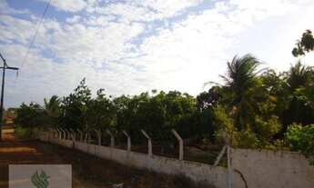 Imagem 6: SI0002 - Sítio à venda, 40000 m² por R$ 450.000,00 - Gereraú - Itaitinga/CE