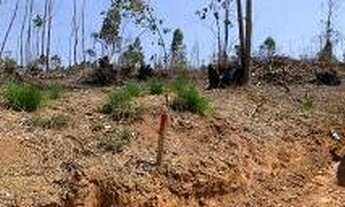 Imagem 2: Vende-se terrenos de 600m² com acesso a represa!!