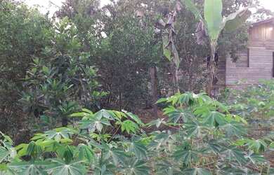 Imagem 6: VENDO TERREINO Terreno / lote com venda por R$35.000