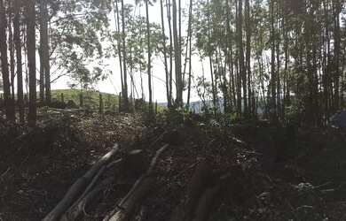 Imagem 5: Chácara para venda tem 2.500 metros quadrados com 3 quartos