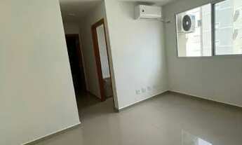 Imagem 3: Vista das Embaúbas