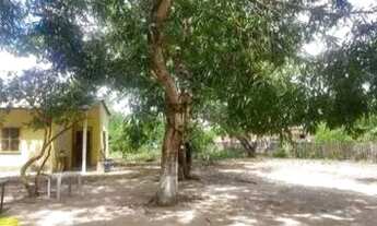 Imagem 2: Alugo chácara com casa com 3 quartos !