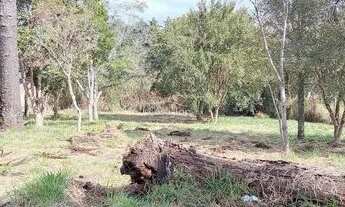 Imagem 4: Terreno à venda - Tibagi