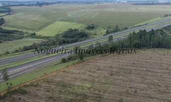 Imagem 5: Sítio com 13 alqueires, frente com a Castelo (Nogueira Imóveis Rurais