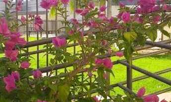 Imagem 5: Apartamento no Condominio porto do sol