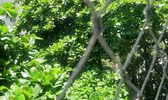 Imagem 5: Apartamento para venda tem 160 metros quadrados com 3 quartos em Tijuca - Rio de Janeiro