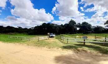 Imagem 6: Chácara a Venda em Contenda Pr