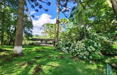 Imagem 4: Chácara documentada com 51.000 mil metros e pronta para morar em São José dos Pinhais PR