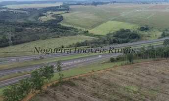 Imagem 4: Sítio com 13 alqueires, frente com a Castelo (Nogueira Imóveis Rurais