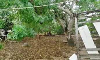 Imagem 4: Casa pra vender Casa com 3 dormitórios