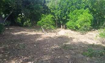 Imagem: Vendo essa Chacara( Leia a Descrição