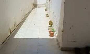 Imagem 4: ALUGA-SE CASA! Bairro Jardim Palmeiras