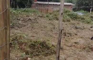 Imagem 2: Terreno em cabucu