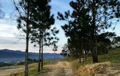 Imagem 2: O terreno perfeito para você está em Atibaia!