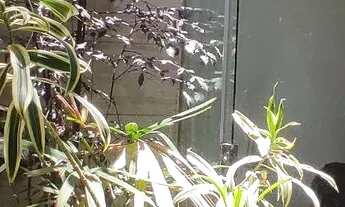 Imagem 5: VENDO CASA NO VILLA SUÍÇA