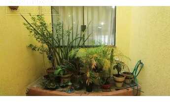 Imagem 3: Santo André - Casa Padrão - Jardim Las Vegas