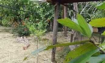 Imagem 4: Vendo terreno Chácara com venda por R$40.000