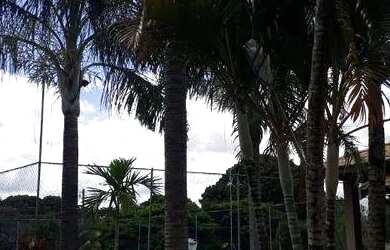 Imagem 7: Casa com 3 suítes à venda, 290 m² por R$ 2.300.000 - Chácara São Rafael - Campinas/SP