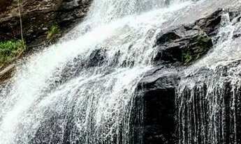 Imagem 5: Lindo Sítio no Sertão de Bananal-SP. Sertão da Onça. com água de mina