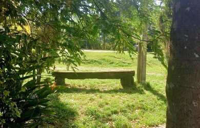 Imagem 6: Sítio 100 x 100 na AM 010 próximo da barreira, TOP 2.500.000