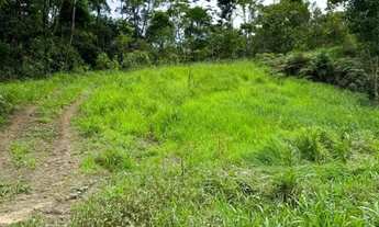 Imagem 6: Fazenda Tapirai-sp 29 Alqueires