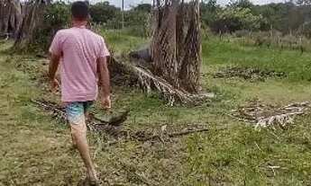 Imagem 4: Terreno em bonito -piacabucu