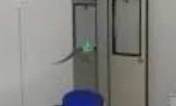 Imagem 2: Sala à venda, 49 m² por R$ 250.000,00 - Caminho das Árvores - Salvador/BA