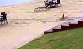 Imagem 6: Lote Aurora do Lago Abadiania