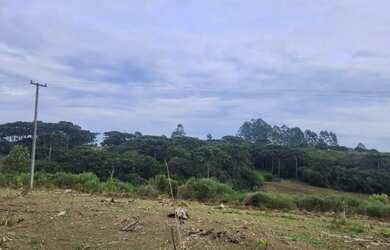 Imagem 6: Piraquara - Area de 20.000m2