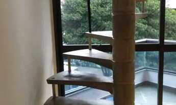 Imagem 6: DUPLEX - ACLIMAÇÃO - SP