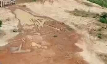 Imagem 7: ? CHÁCARA À VENDA - SANCLERLÂNDIA/GO ?