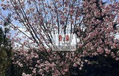 Imagem 3: Terreno à venda, 1800 m² por R$ 1.808.500 - Centro - Campos do Jordão/SP