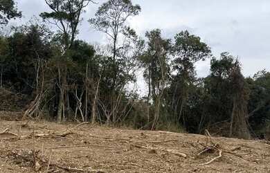 Imagem 5: Terreno de 1.000m² na divisa de São Roque por a partir de R$100 mil