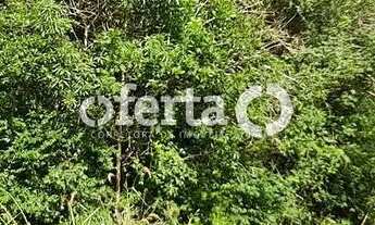 Imagem 7: OFERTA 1479 - CHÁCARA EM ARAUCÁRIA