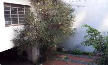 Imagem 6: Casa Térrea com 330 m², 11 x 31