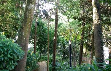 Imagem 7: Apartamento para locação na Chácara Santo Antônio: 3 quartos, 3 suítes, 5 banheiros, 3 vag