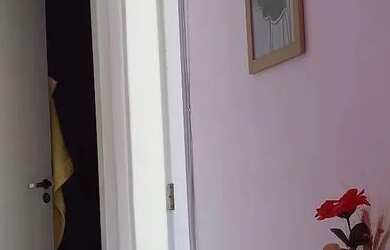 Imagem 6: 2/4 Jardim das Orquídeas reformado