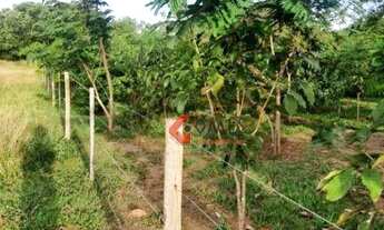 Imagem 4: Chácara à venda, 36000 m² por R$ 425.000,00 - Sao Francisco - São Francisco/SP