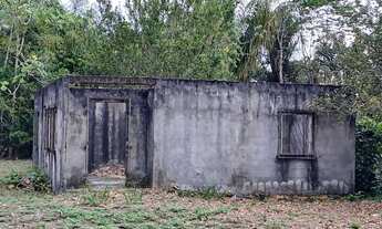 Imagem 7: Chacara no ramal do janauari